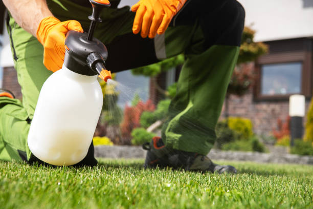 Professional Pest Control in Ragland, AL