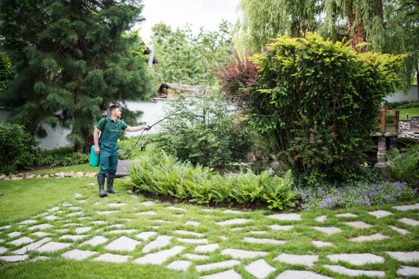 Best Wasp Removal Services  in Ragland, AL