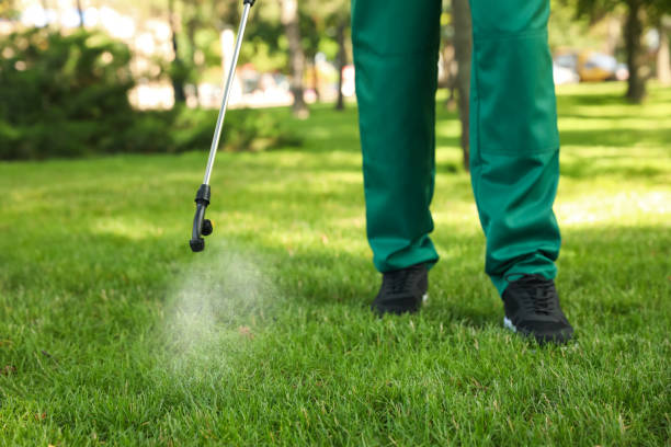 Best Affordable Pest Control Services  in Ragland, AL