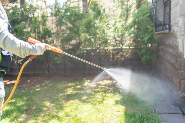 Best Emergency Pest Control  in Ragland, AL