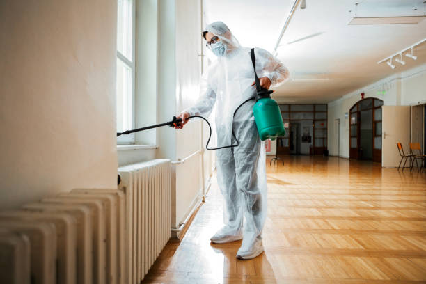 Best Local Pest Control Services  in Ragland, AL