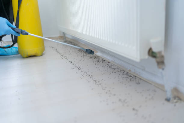 Best Wildlife Control Services  in Ragland, AL