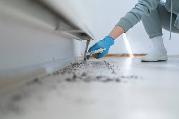 Best Pest Removal Services  in Ragland, AL