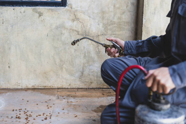Best Ant Control Services  in Ragland, AL